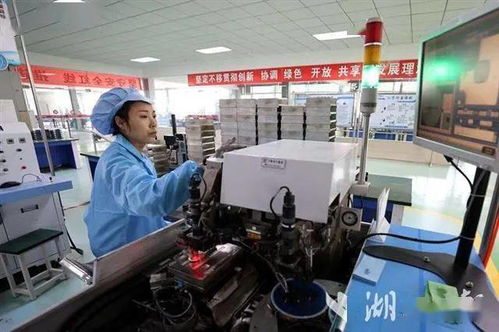 千名干部进千企 产销对接结硕果