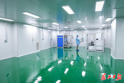 武汉涌现12万平方米连片无尘车间,吸引头部企业纷纷入驻