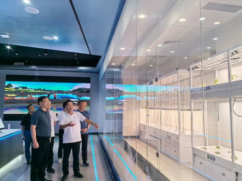 郑光泉在粤港澳大湾区开展 双招双引 活动